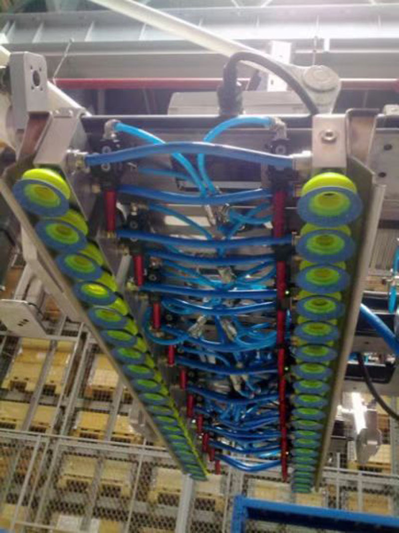 食品_真空吸盤(pán)